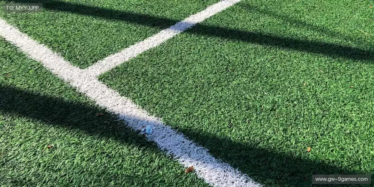 🎁 限量周边，手慢无！正版授权好物，让热爱触手可及！